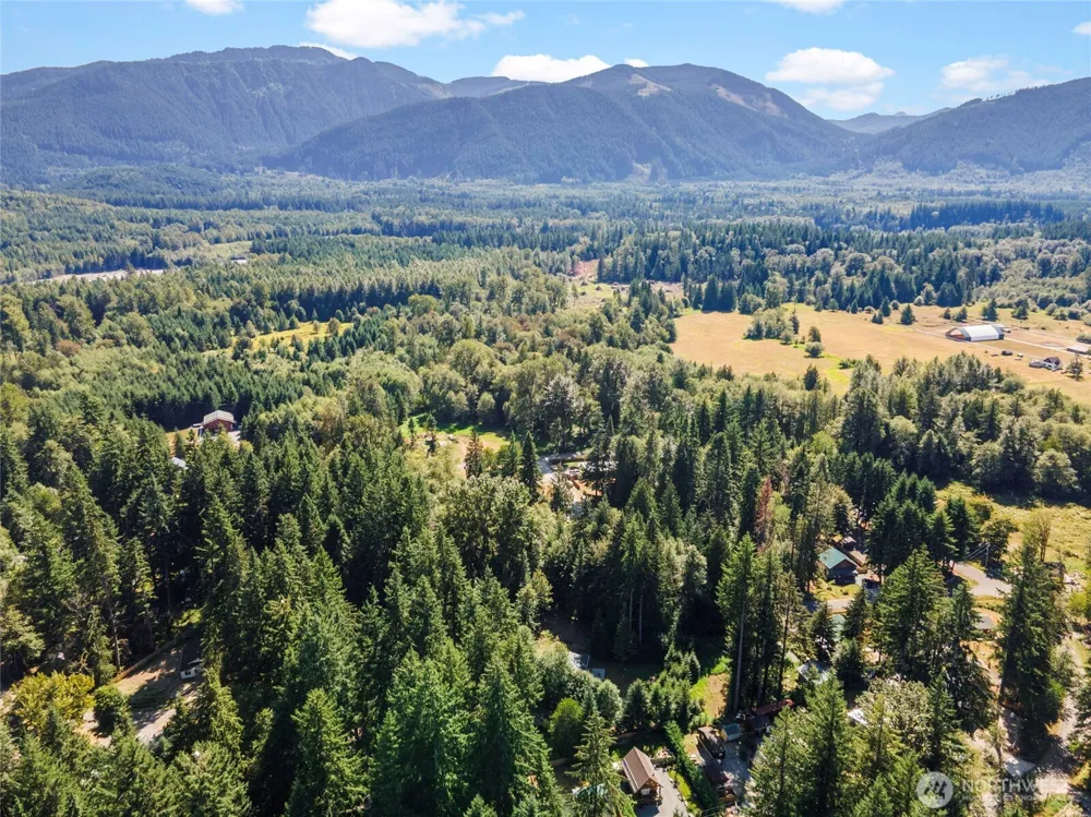 31206 553rd Street E Ashford, WA 98304