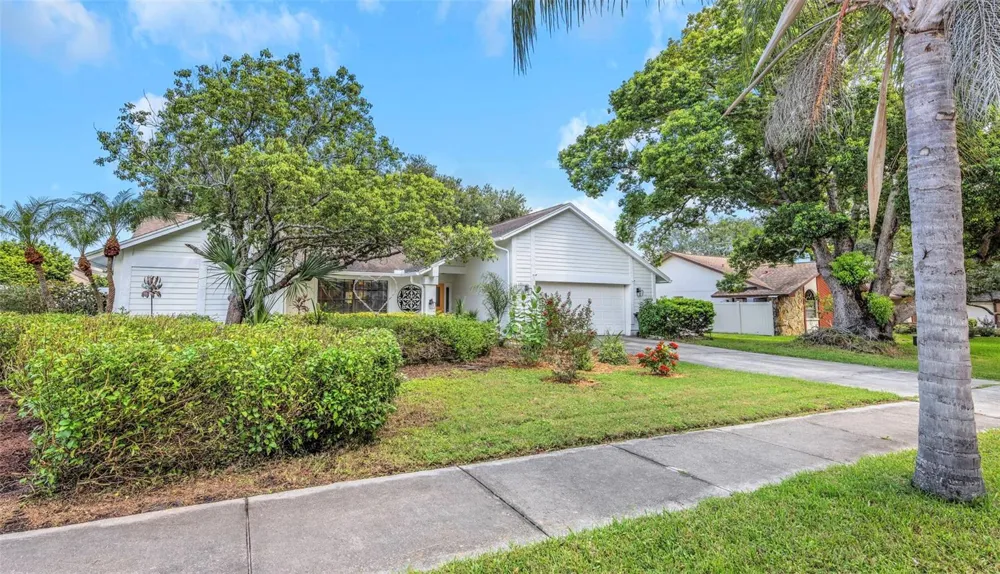 1620 COUNTRY LANE Dunedin, FL 34698