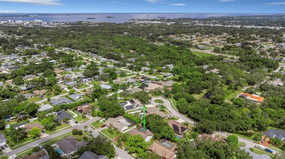 1620 COUNTRY LANE Dunedin, FL 34698