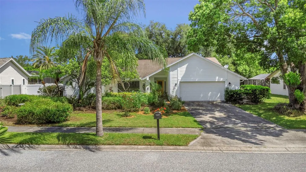 1620 COUNTRY LANE Dunedin, FL 34698