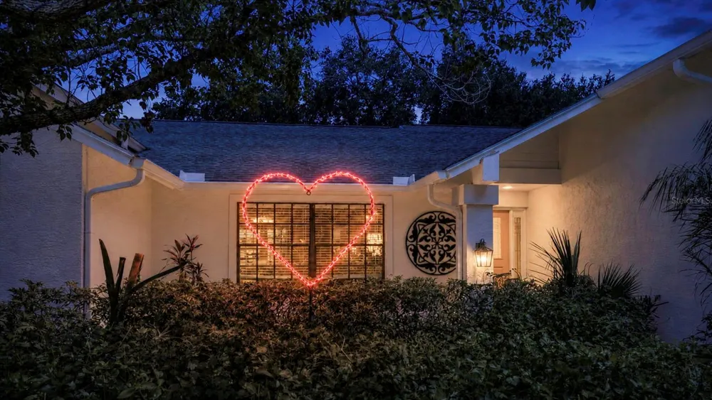 1620 COUNTRY LANE Dunedin, FL 34698