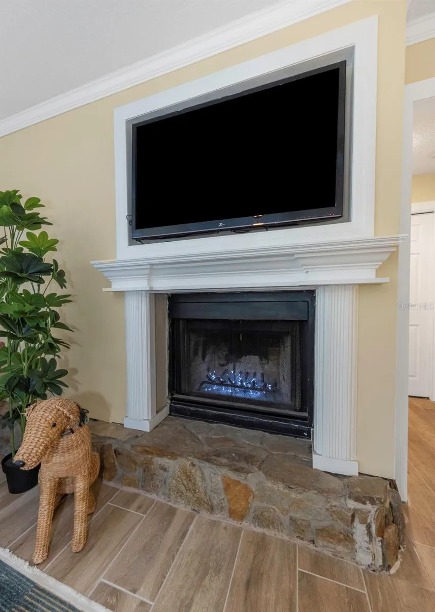 1620 COUNTRY LANE Dunedin, FL 34698