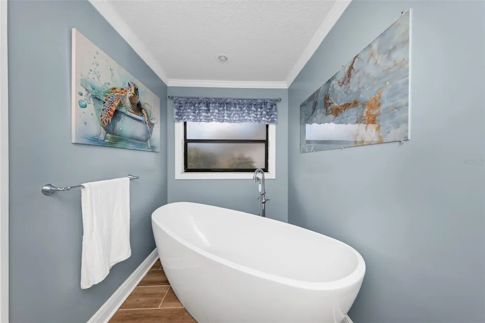 1620 COUNTRY LANE Dunedin, FL 34698