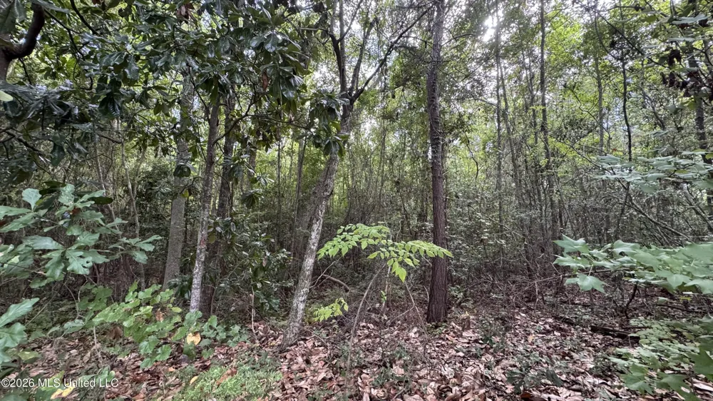 Oyster Shell (lot 24) Avenue Ocean Springs, MS 39564