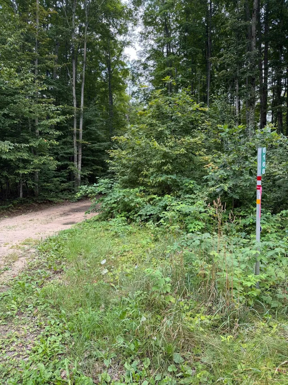 6168 Needles Lane Excelsior Township, MI 49646