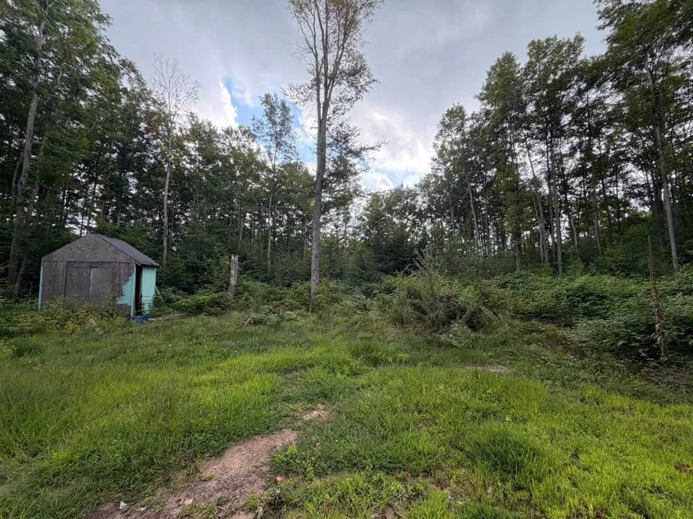 6168 Needles Lane Excelsior Township, MI 49646
