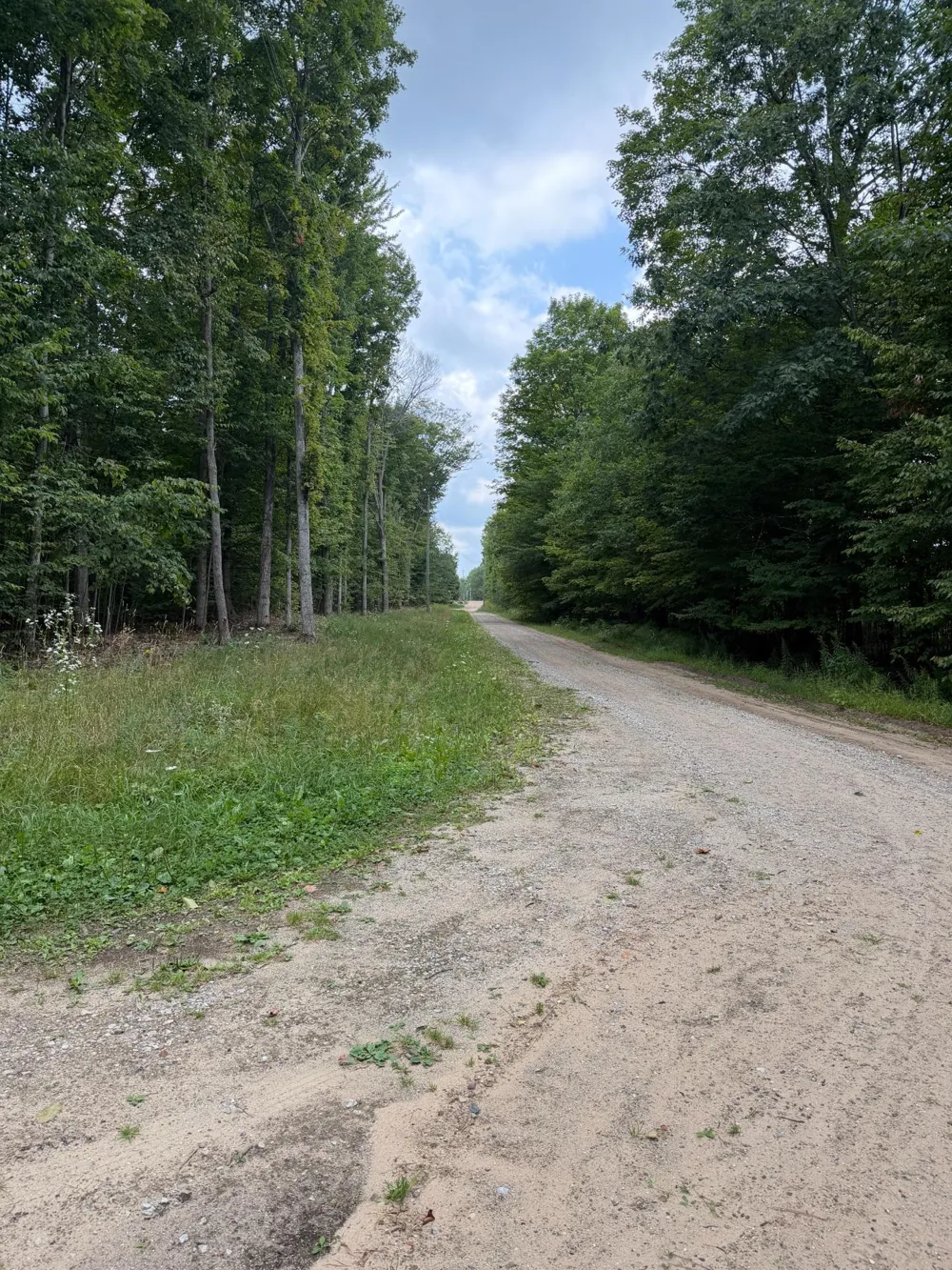 6168 Needles Lane Excelsior Township, MI 49646