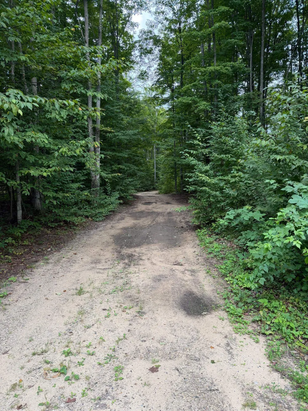 6168 Needles Lane Excelsior Township, MI 49646