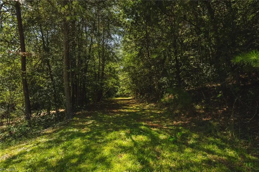51 Fred Jolly Lane Taylorsville, NC 28681