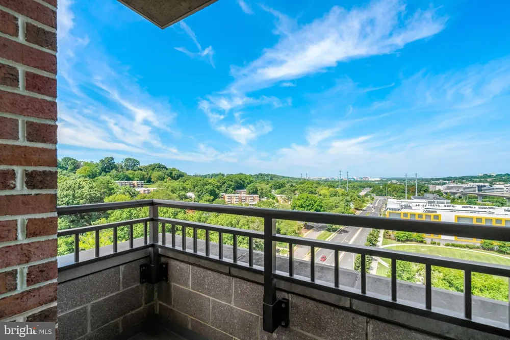 2451 MIDTOWN AVENUE #1319 Alexandria, VA 22303