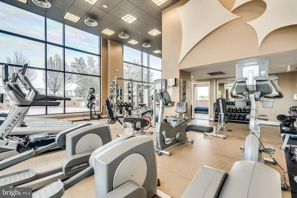 2451 MIDTOWN AVENUE #1319 Alexandria, VA 22303