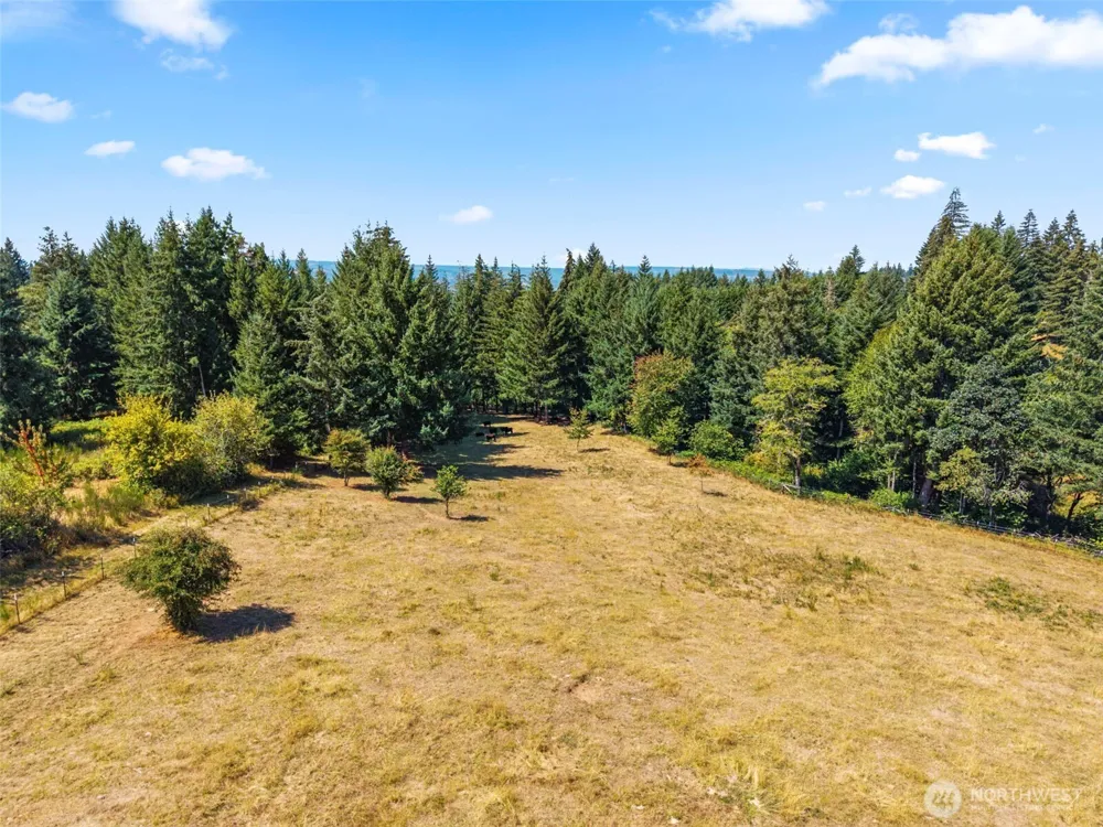 6215 Green Mountain Road Woodland, WA 98674