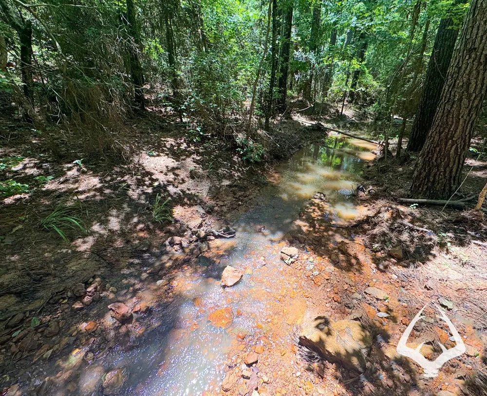 County Road 2064 Crockett, TX 75835