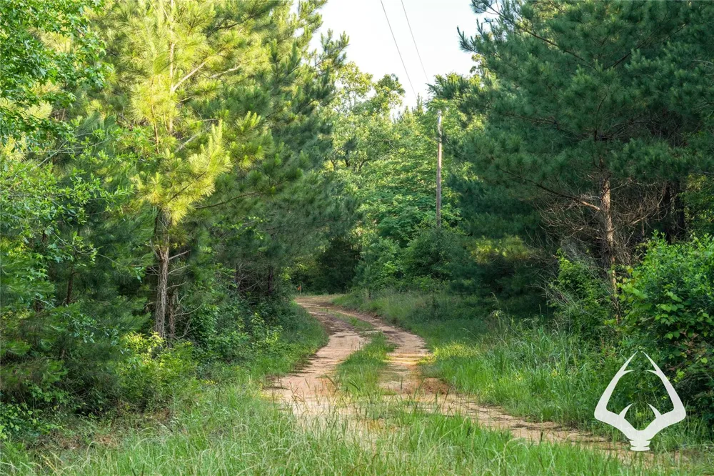 County Road 2064 Crockett, TX 75835