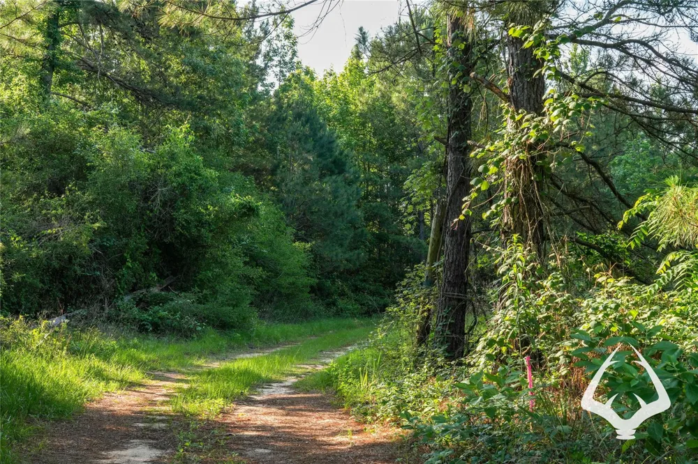 County Road 2064 Crockett, TX 75835