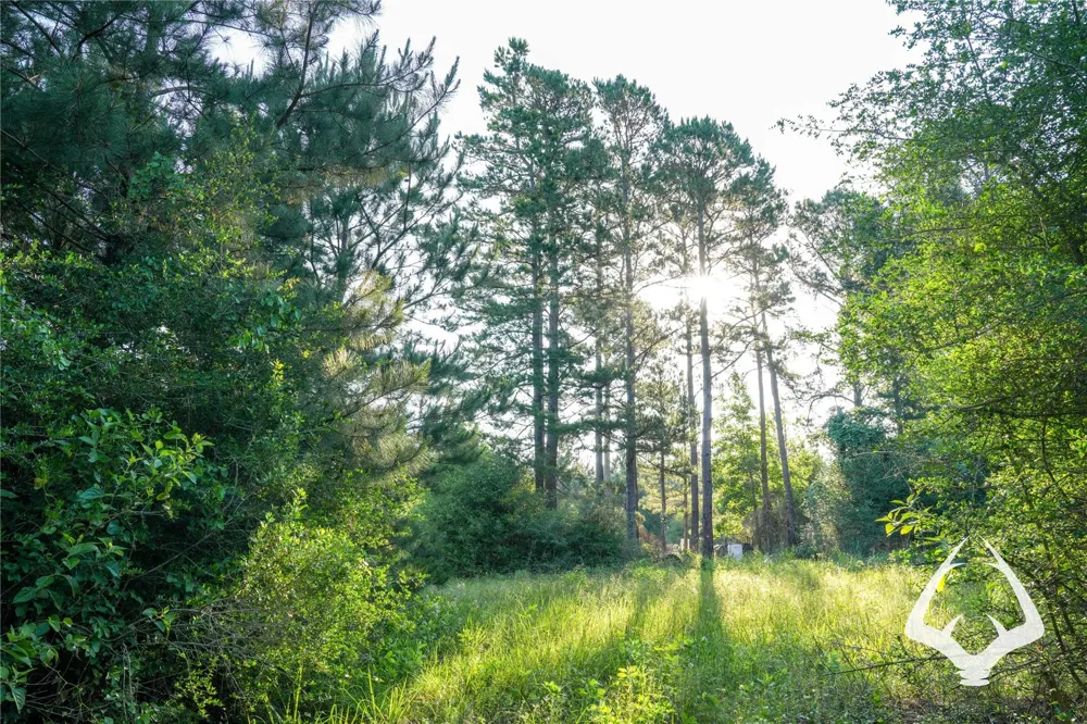 County Road 2064 Crockett, TX 75835
