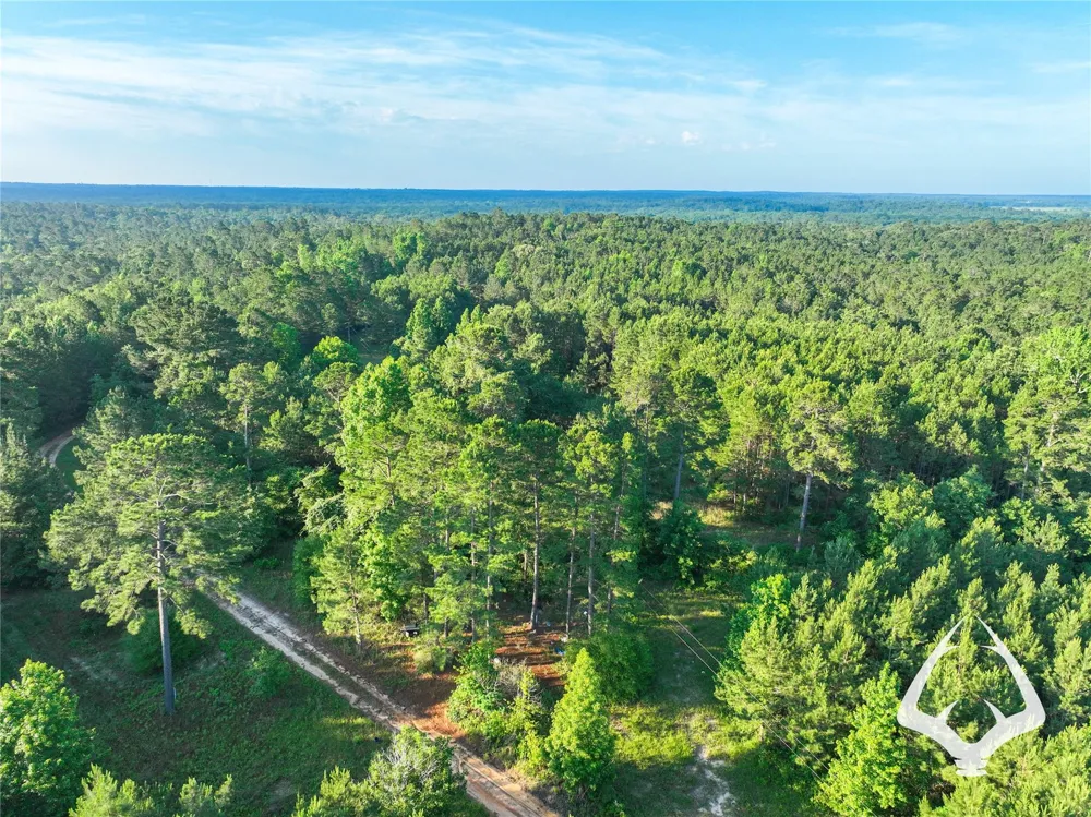 County Road 2064 Crockett, TX 75835