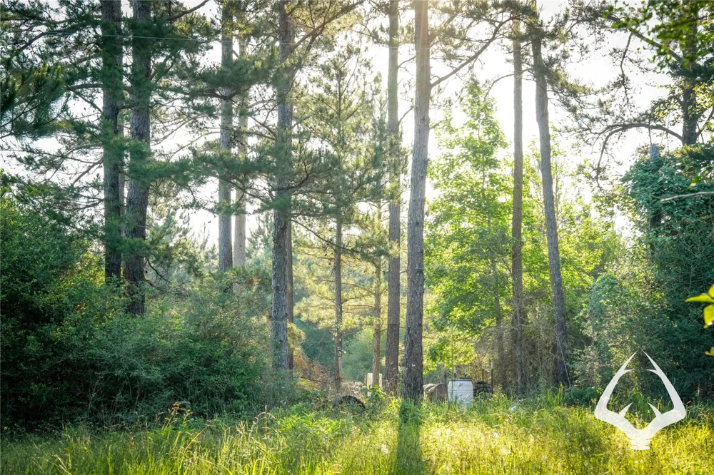 County Road 2064 Crockett, TX 75835