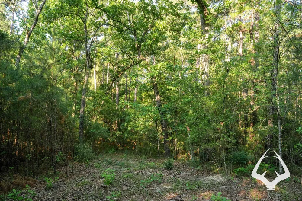 County Road 2064 Crockett, TX 75835