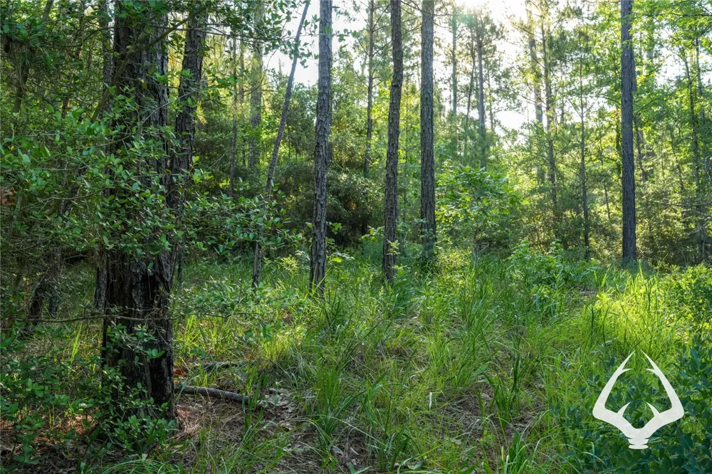 County Road 2064 Crockett, TX 75835
