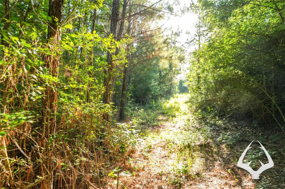 County Road 2064 Crockett, TX 75835