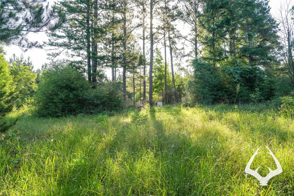 County Road 2064 Crockett, TX 75835