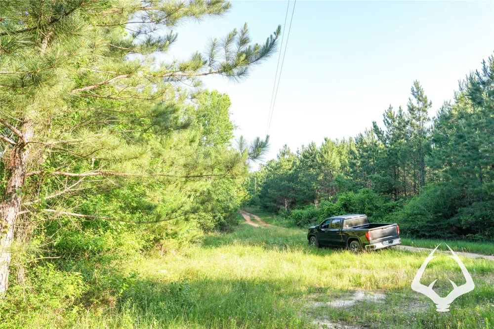 County Road 2064 Crockett, TX 75835