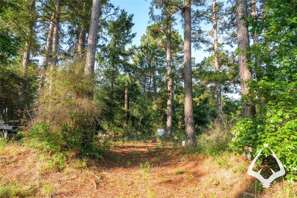 County Road 2064 Crockett, TX 75835