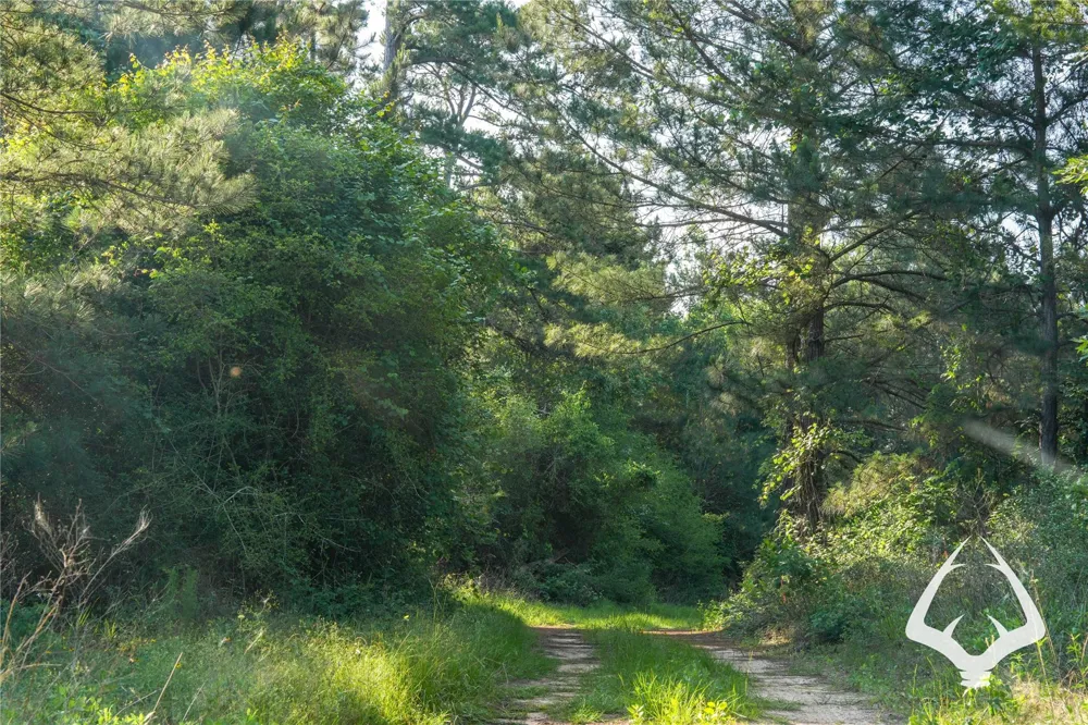 County Road 2064 Crockett, TX 75835