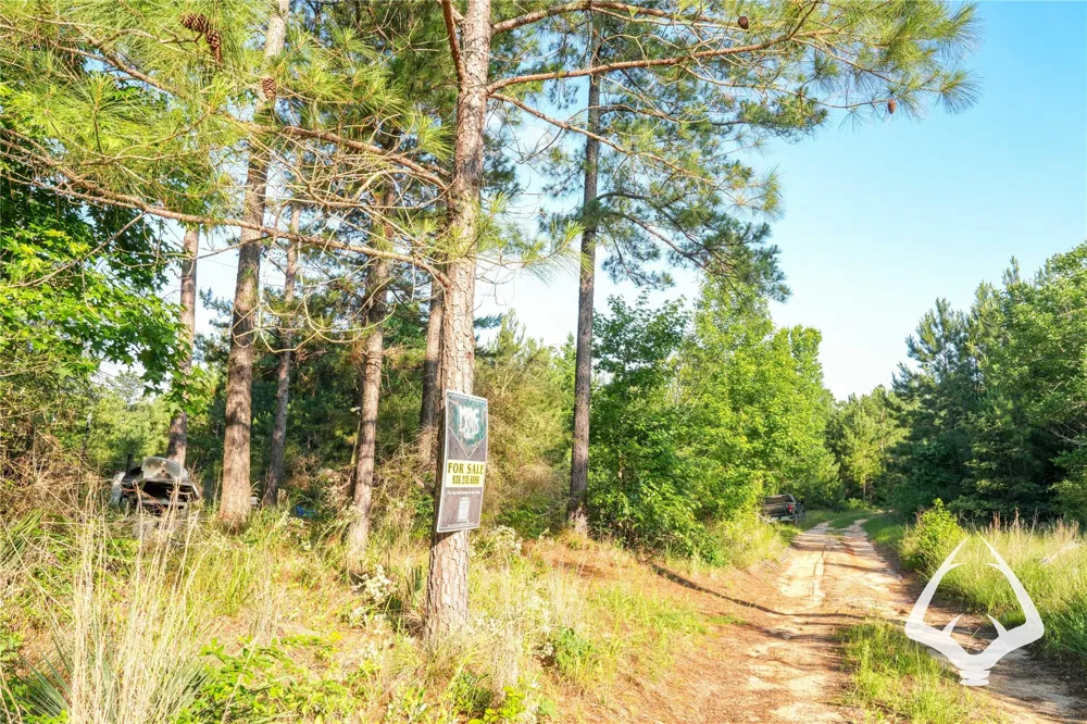 County Road 2064 Crockett, TX 75835