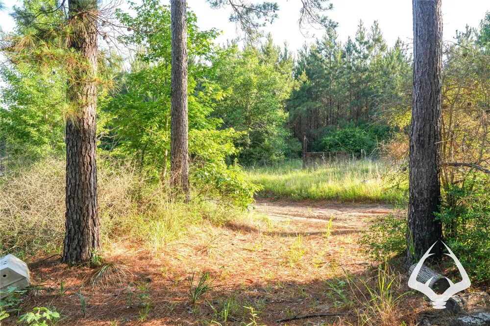 County Road 2064 Crockett, TX 75835