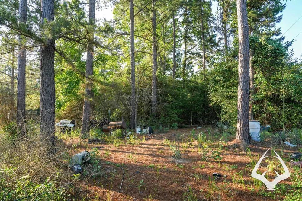 County Road 2064 Crockett, TX 75835