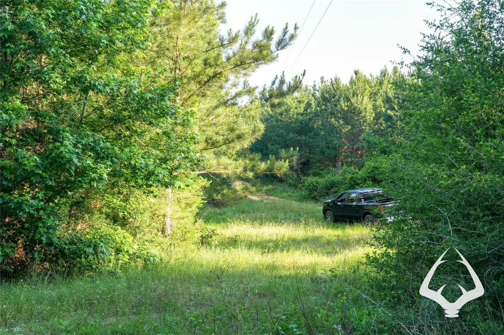 County Road 2064 Crockett, TX 75835