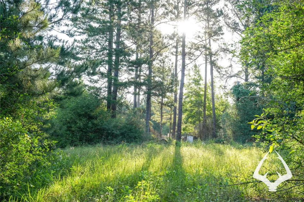 County Road 2064 Crockett, TX 75835