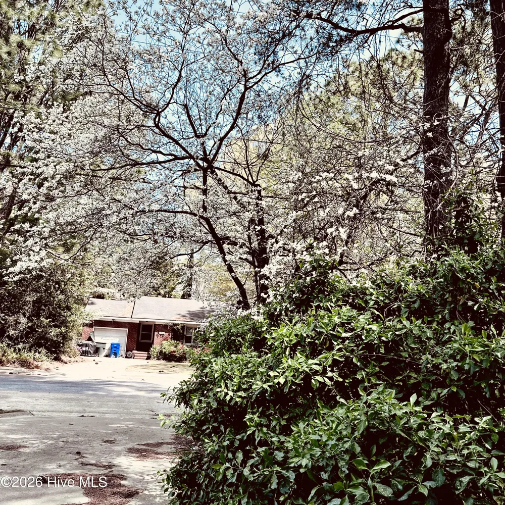 1104 Overlook Drive Greenville, NC 27858