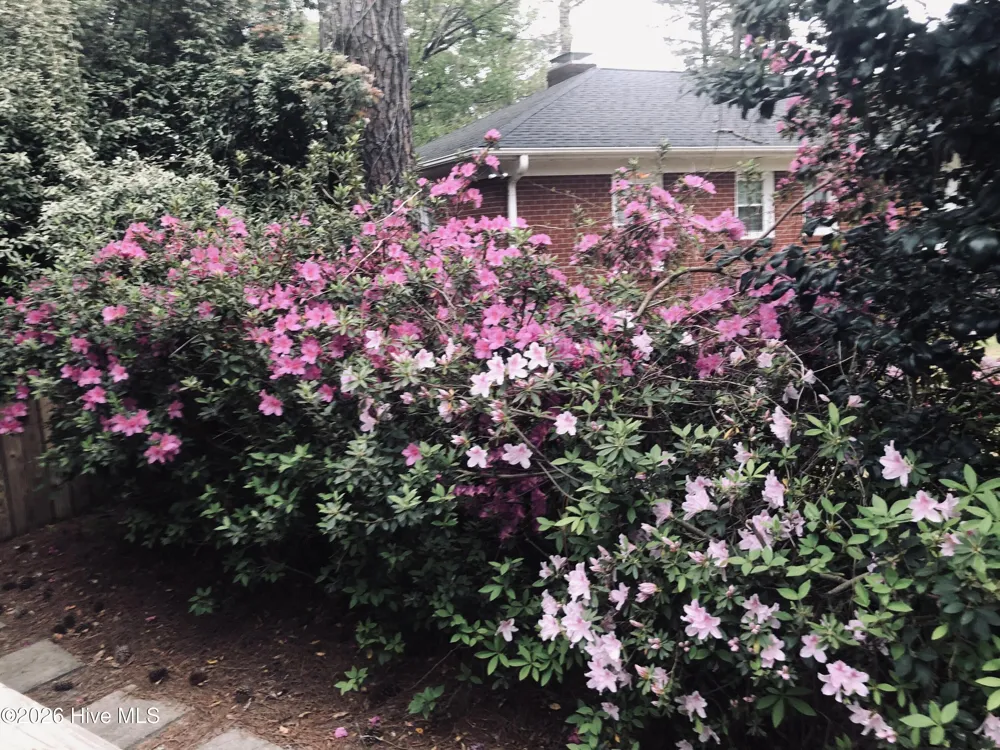 1104 Overlook Drive Greenville, NC 27858