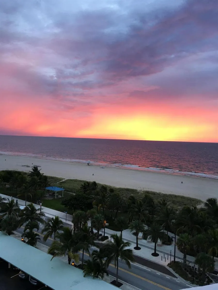 305 POMPANO BEACH BOULEVARD #205 Pompano Beach, FL 33062