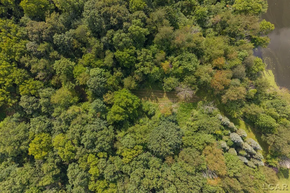 14701 Burton Road Rollin Township, MI 49235