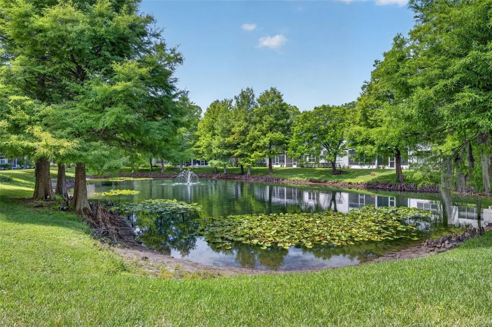 6057 LAKE POINTE DRIVE #410 Orlando, FL 32822