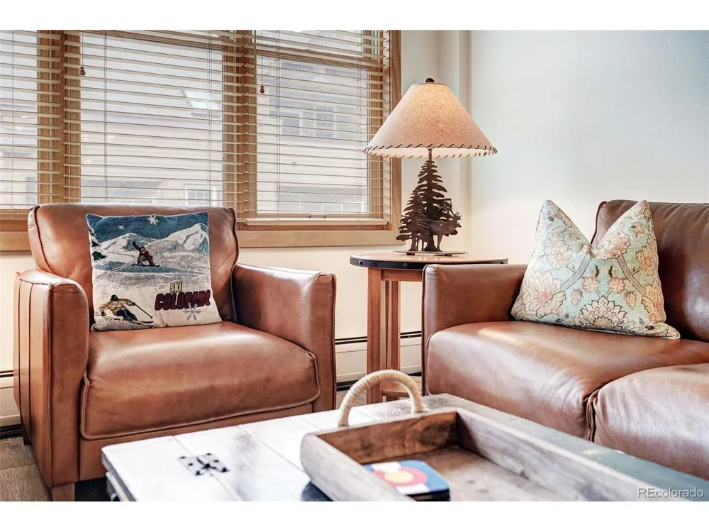 140 Ida Belle Drive #8254 Dillon, CO 80435