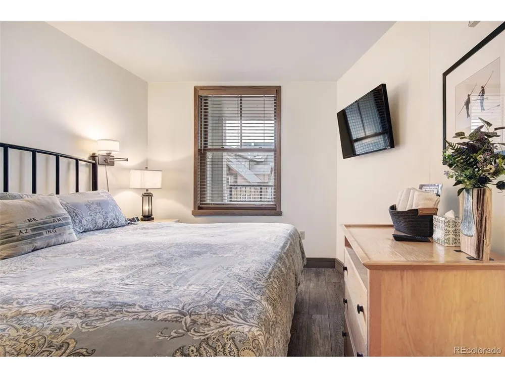 140 Ida Belle Drive #8254 Dillon, CO 80435