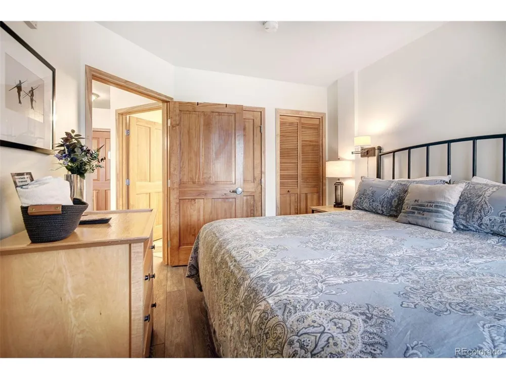 140 Ida Belle Drive #8254 Dillon, CO 80435
