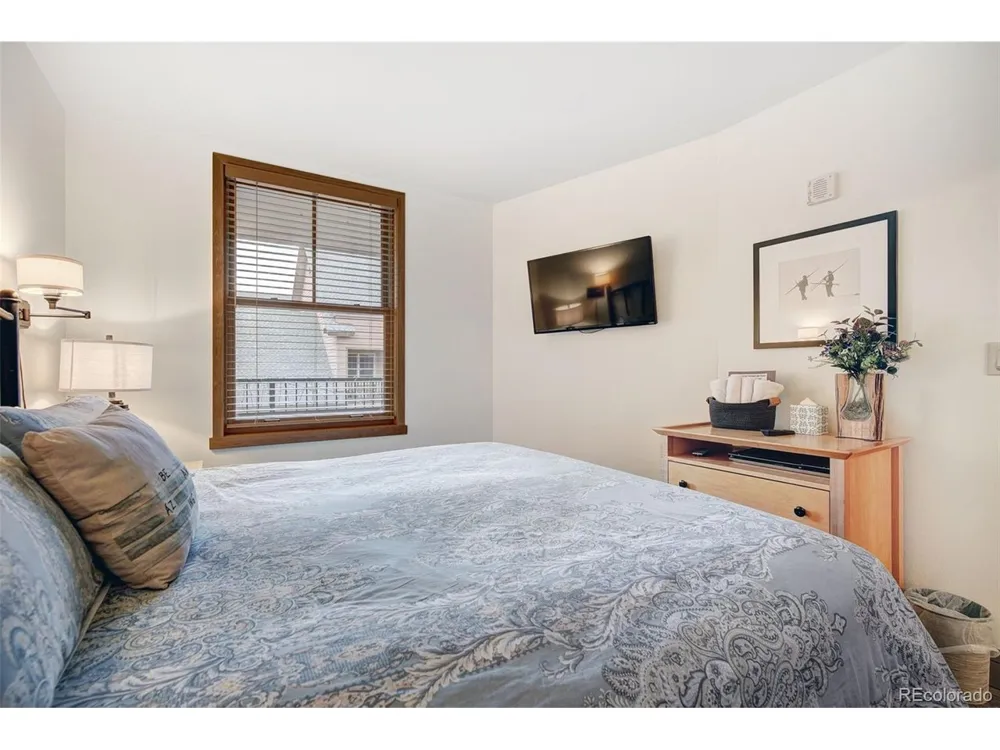 140 Ida Belle Drive #8254 Dillon, CO 80435