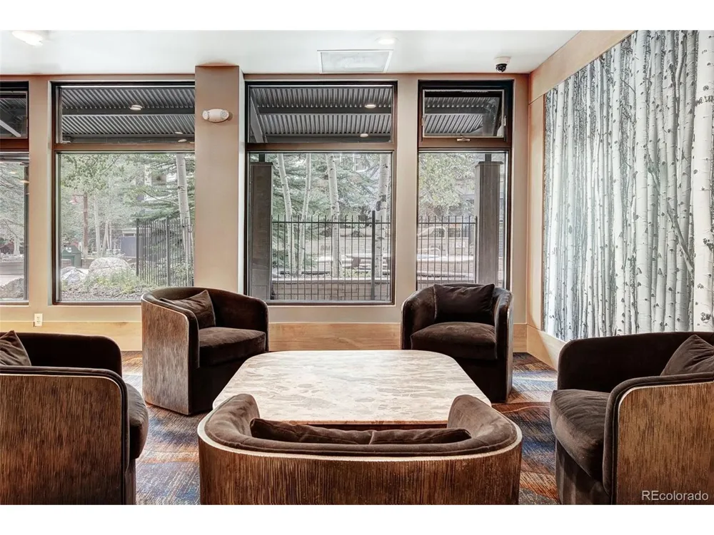 140 Ida Belle Drive #8254 Dillon, CO 80435