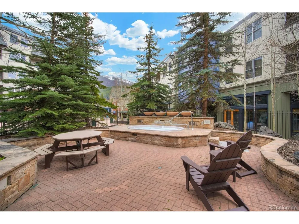 140 Ida Belle Drive #8254 Dillon, CO 80435