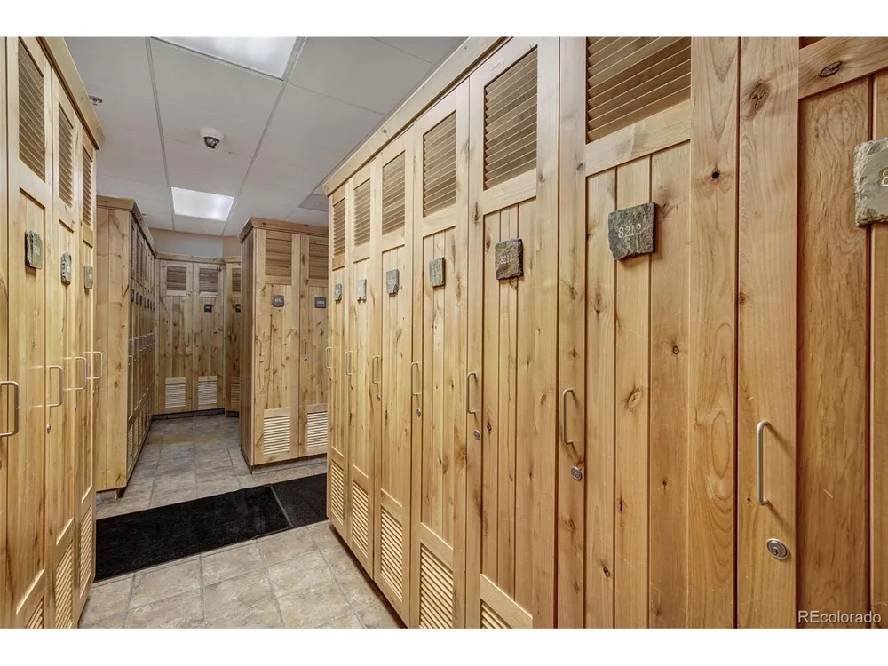140 Ida Belle Drive #8254 Dillon, CO 80435