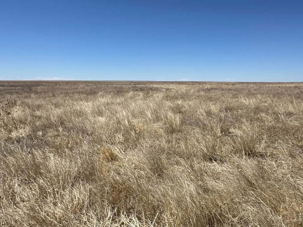 12345 Road 22 Haswell, CO 81045
