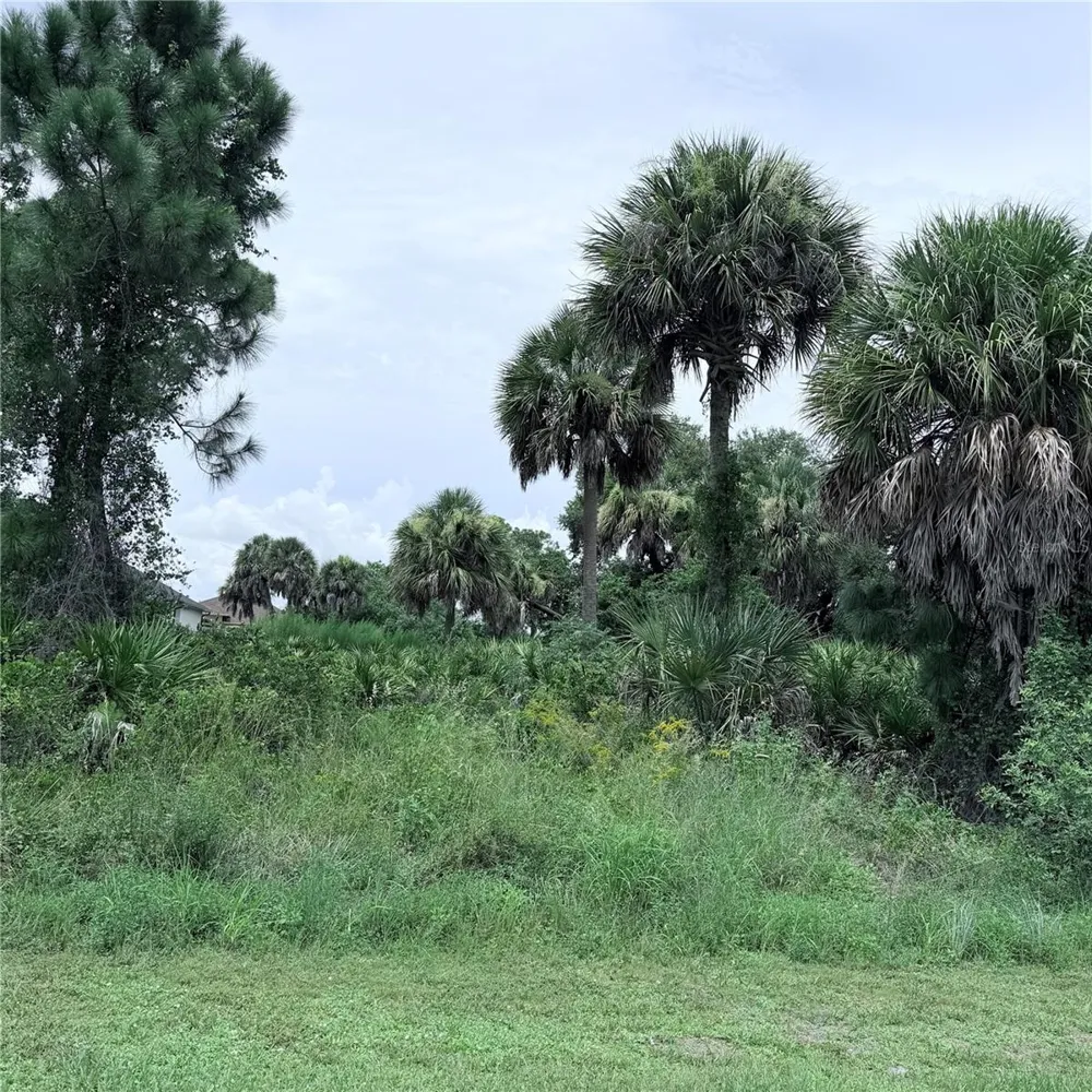 TORINO STREET North Port, FL 34287