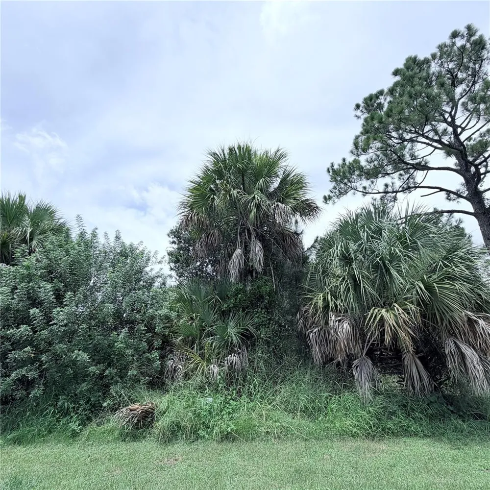 TORINO STREET North Port, FL 34287