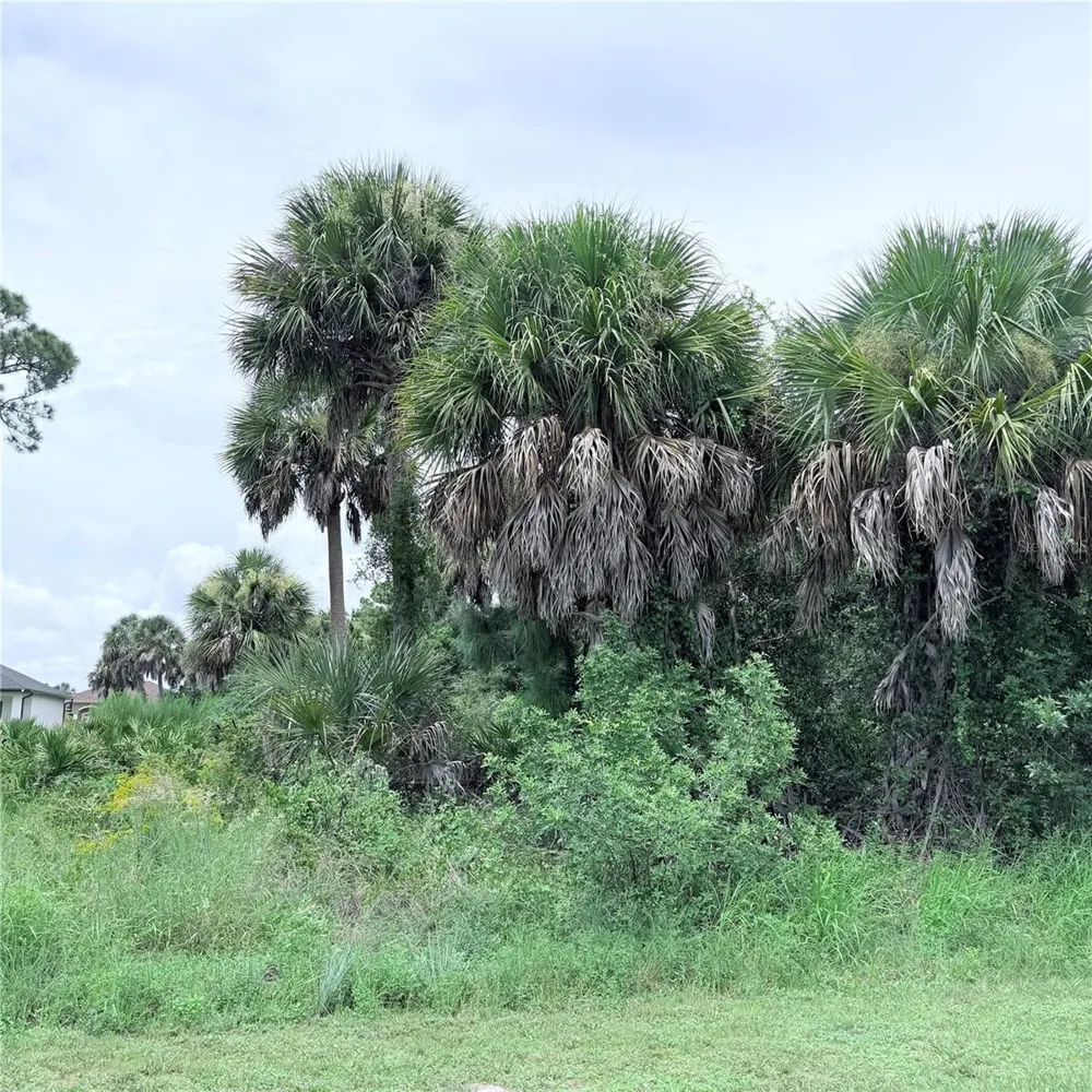 TORINO STREET North Port, FL 34287